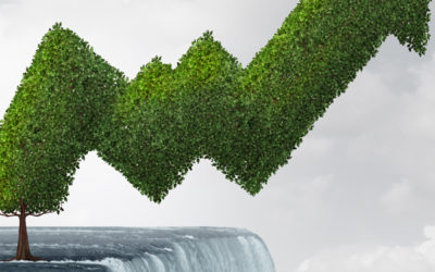 SA Investors urged to stay the course during turbulent times